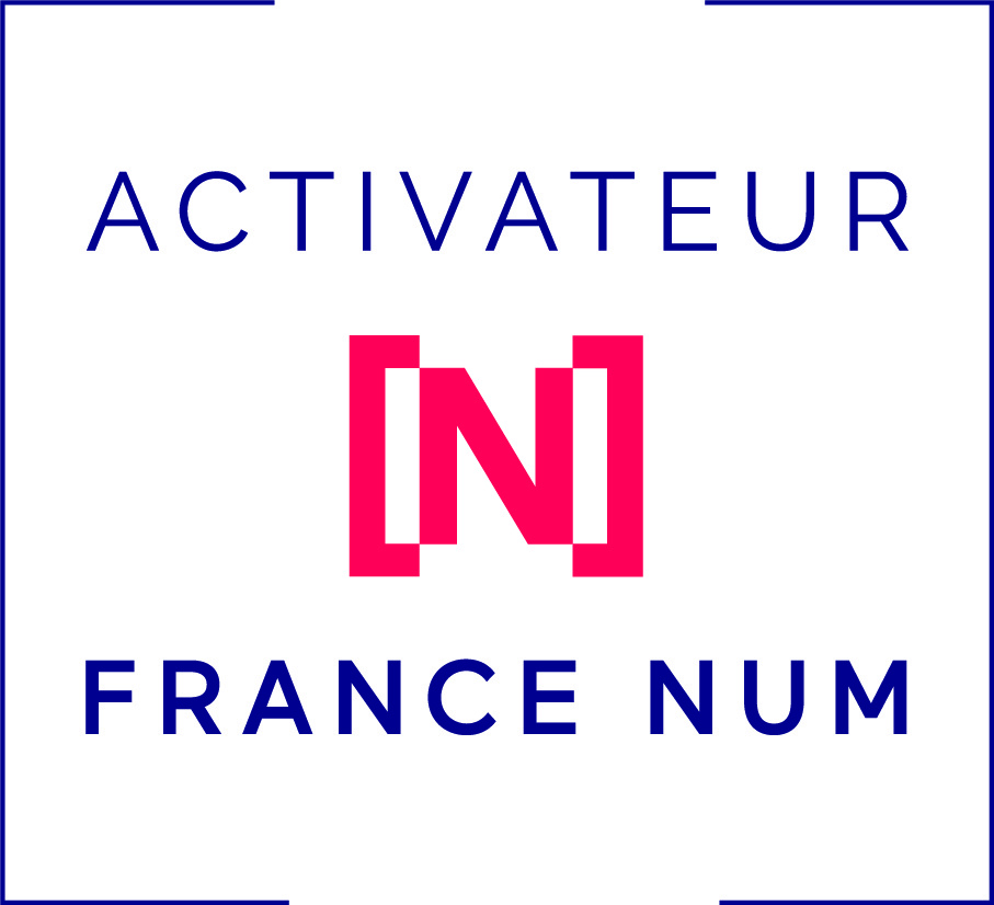 France Num Avangarde Consulting